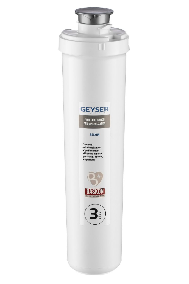 Сменный фильтрующий элемент Гейзер Баскон Смарт (30643)